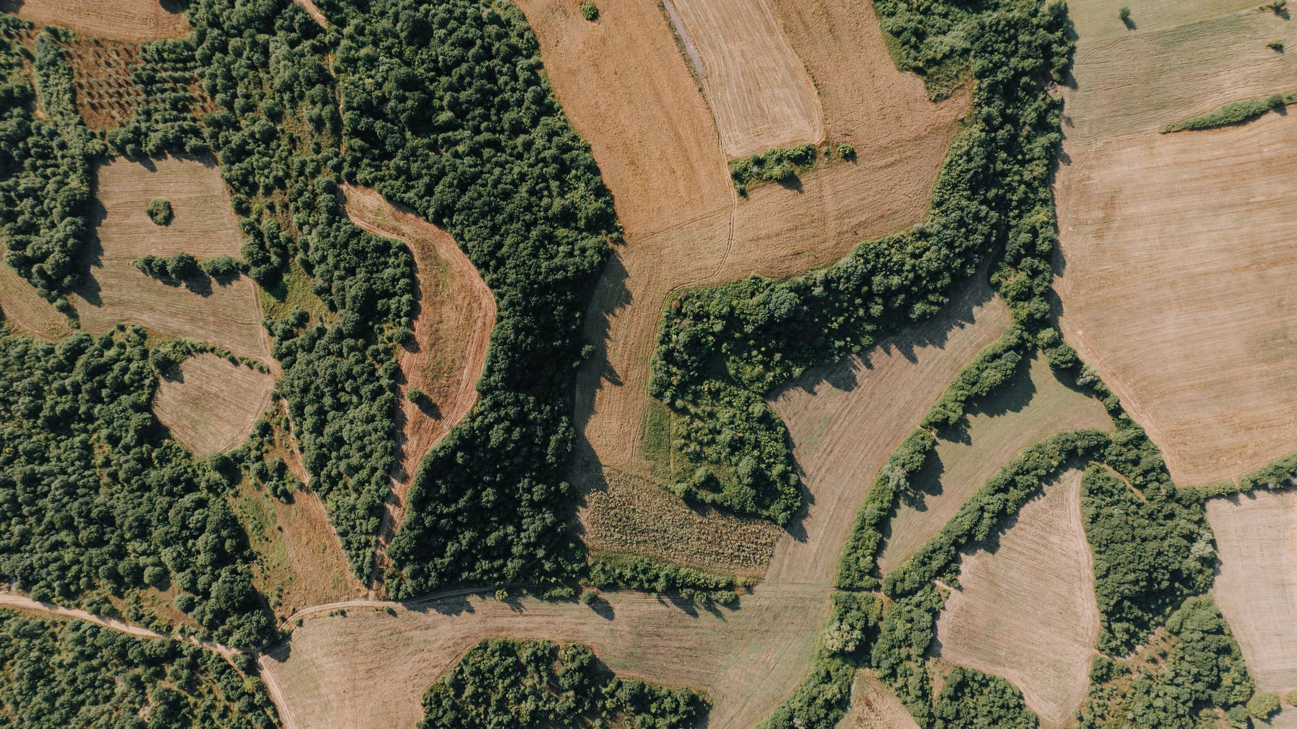 Near-vertical aerial view of a mosaic of irregular field parcels outside İstanbul, each worked differently and divided by hedgerows and belts of woodland.