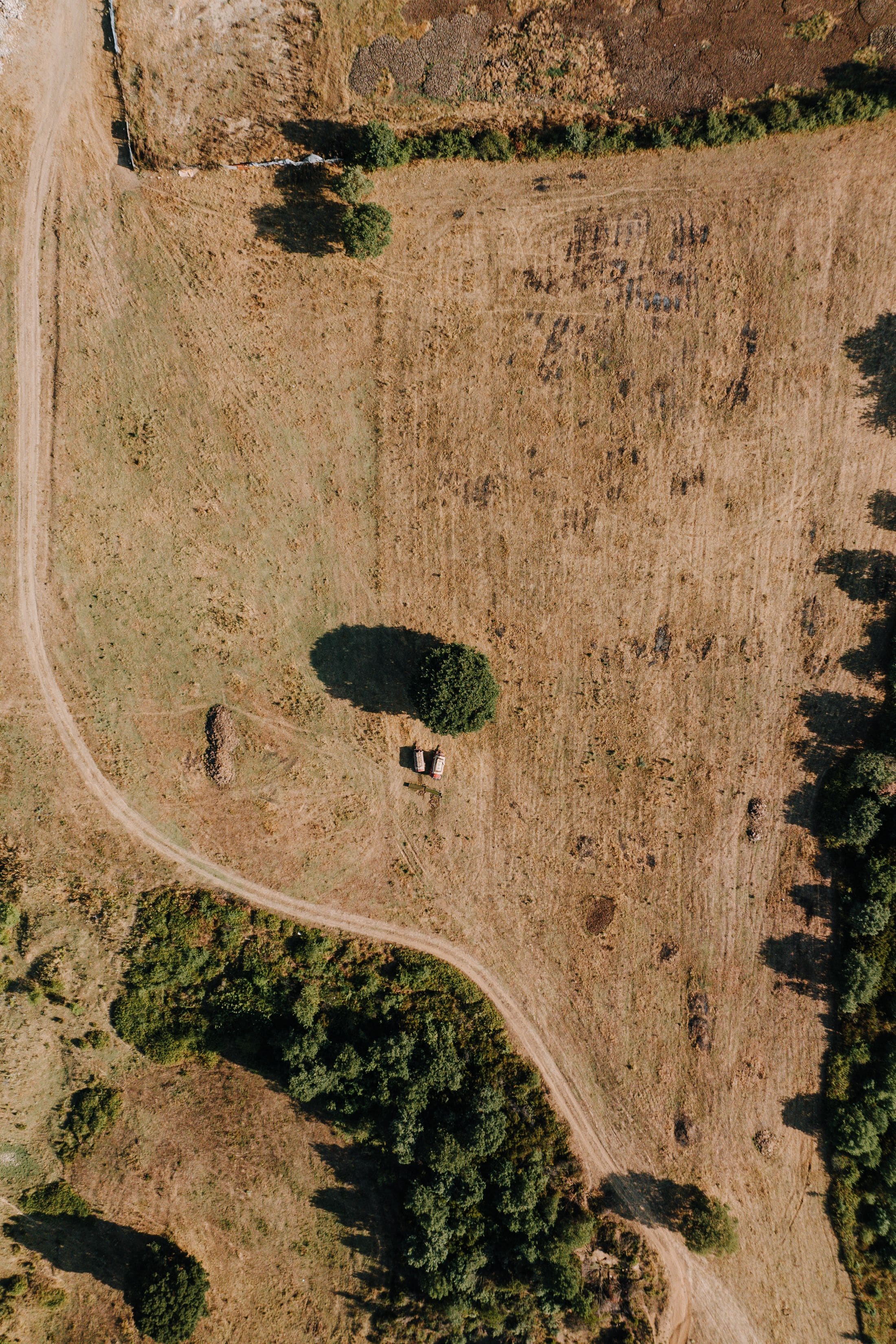 Near-vertical aerial view of unimproved dry land outside İstanbul, a single unpaved track curving through it past a solitary tree and a belt of scrub.