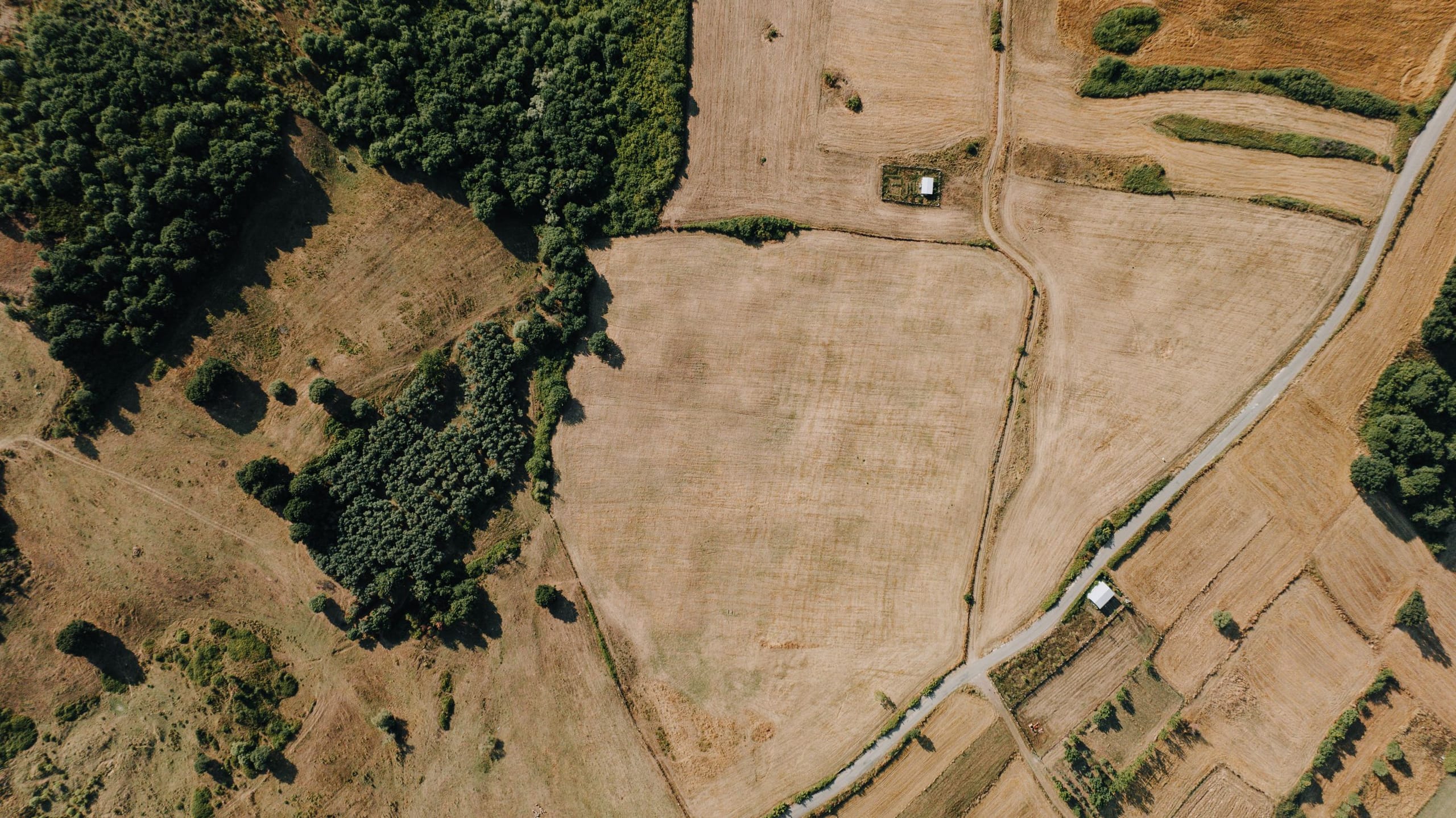 Dry, parcelled land outside İstanbul read from directly above, field boundaries meeting a track that serves them, with two small structures at the parcel edges.